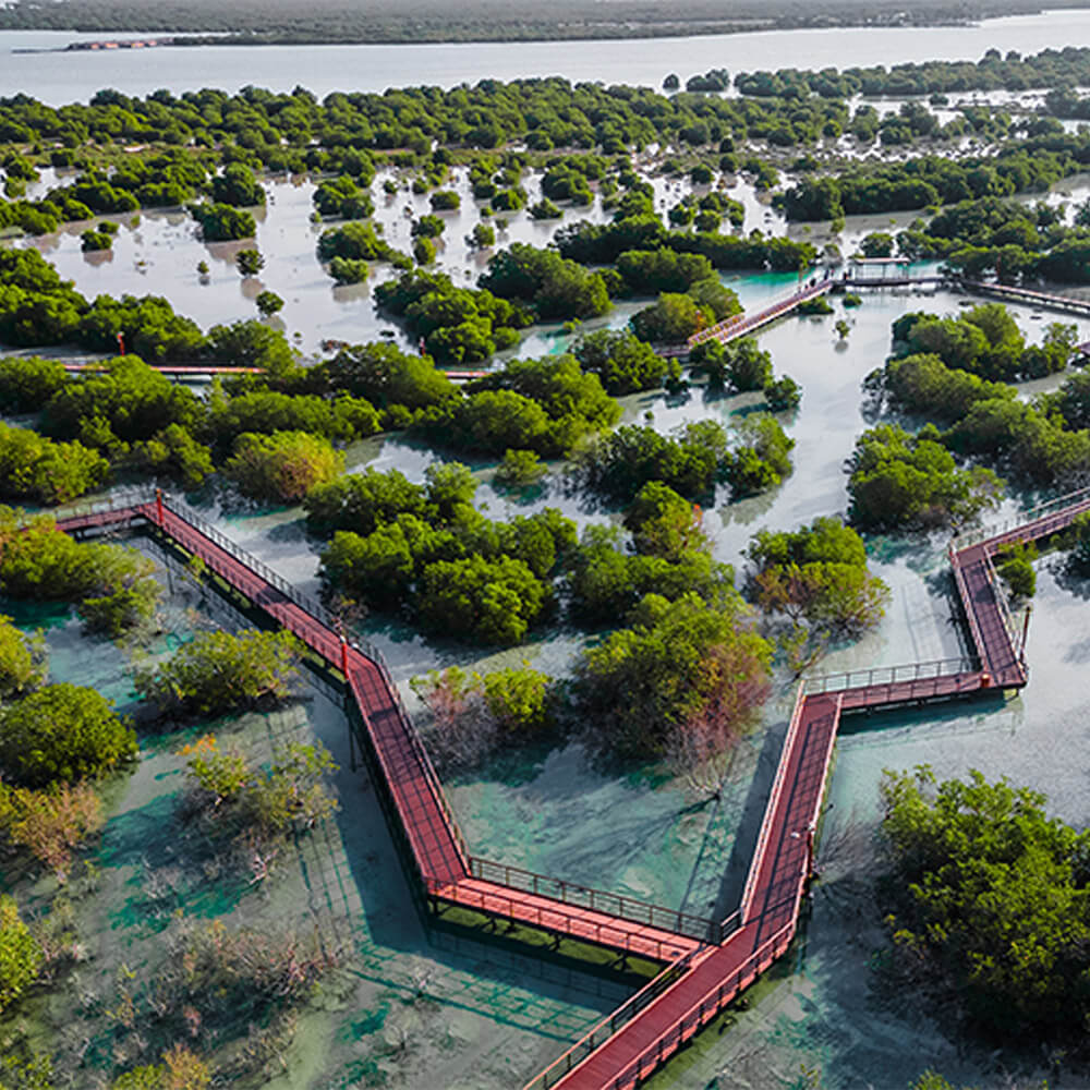 Scaling sustainability: How the mid-market is future-proofing growth