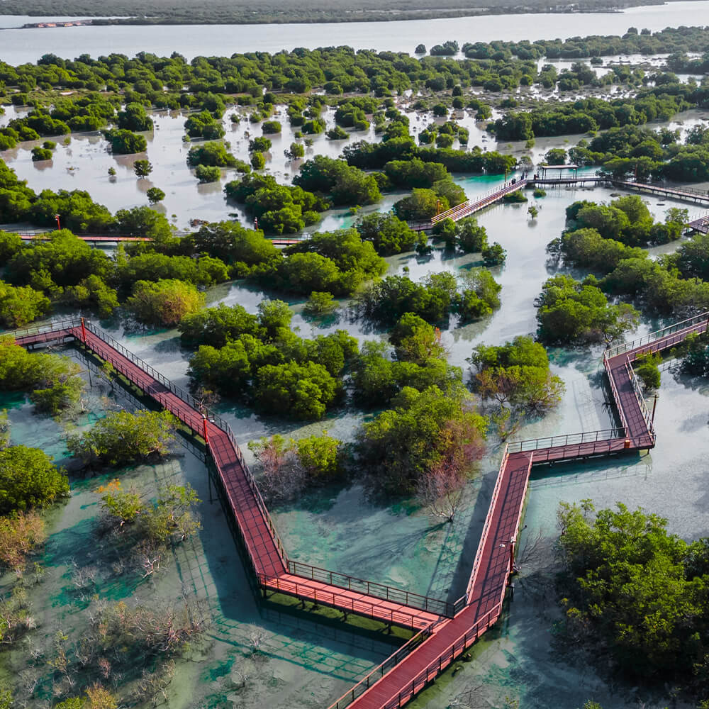 Scaling sustainability