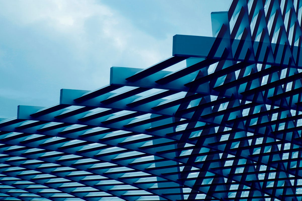 Thriving through disruption