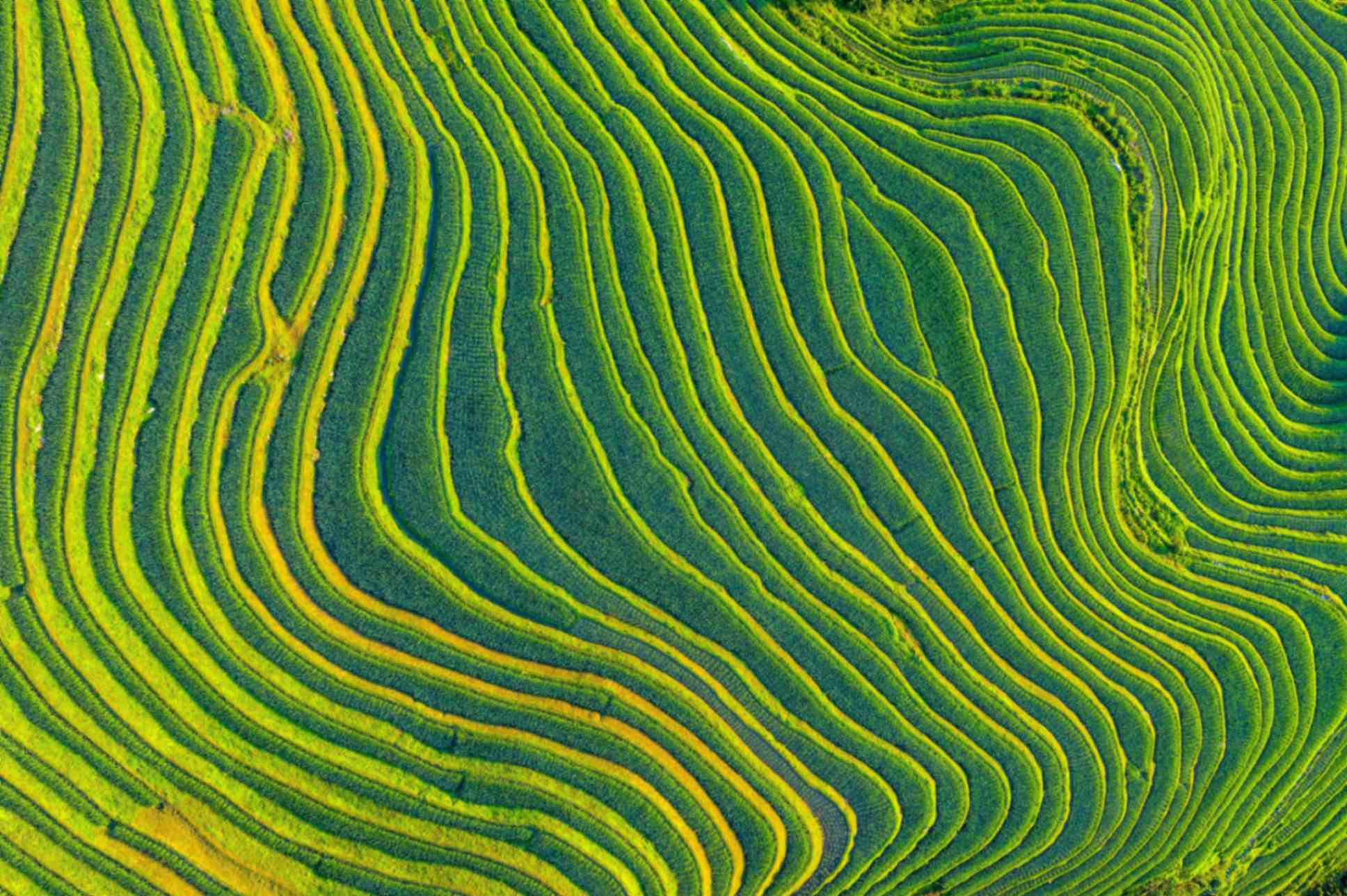 Closing the climate compliance gap