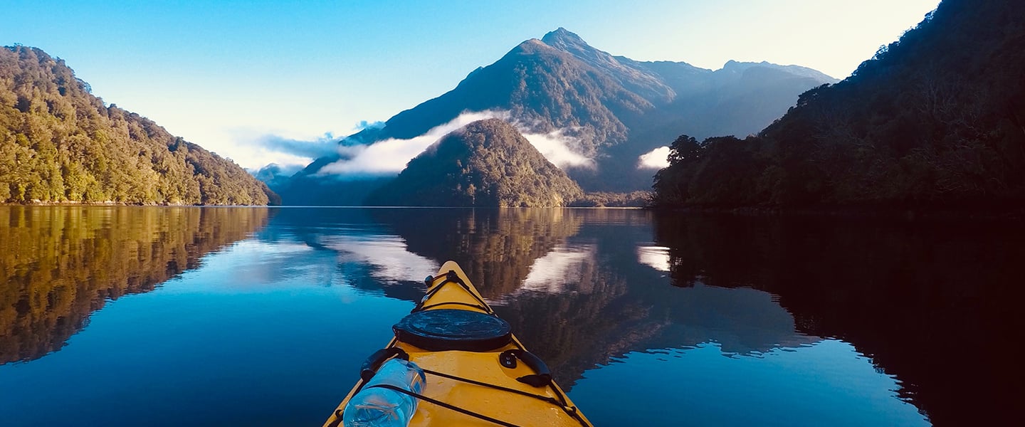 Thriving through disruption